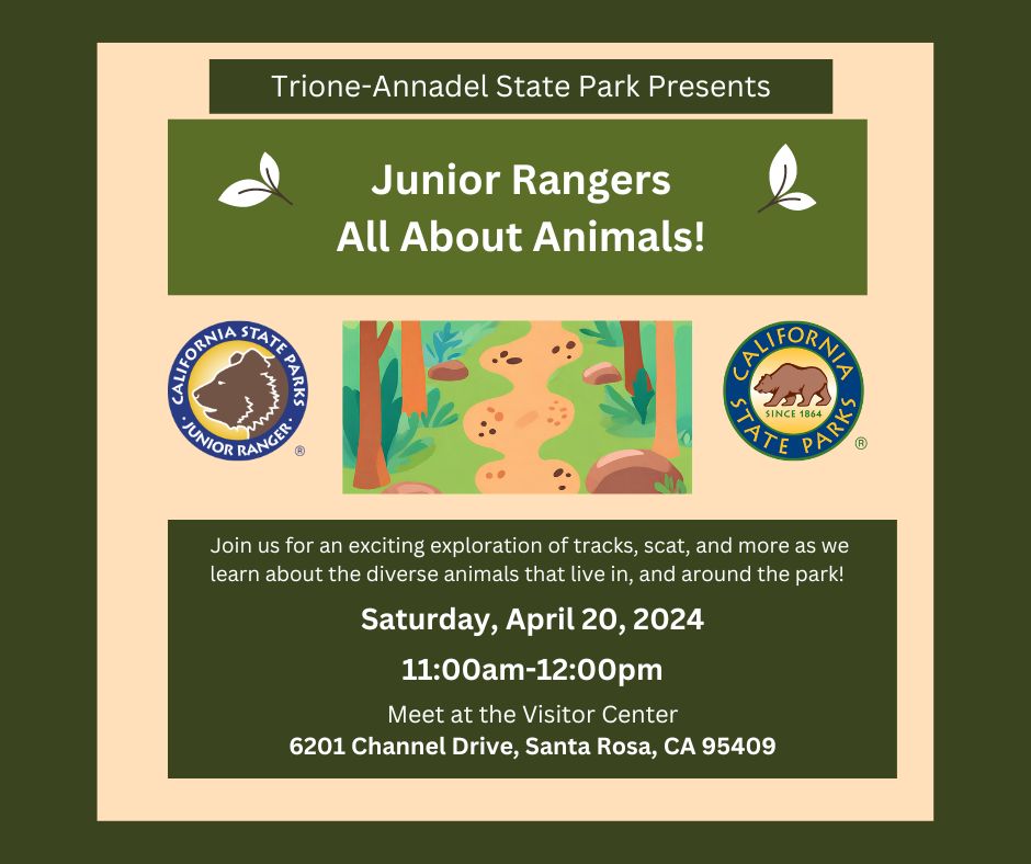 Junior Rangers: All About Animals
